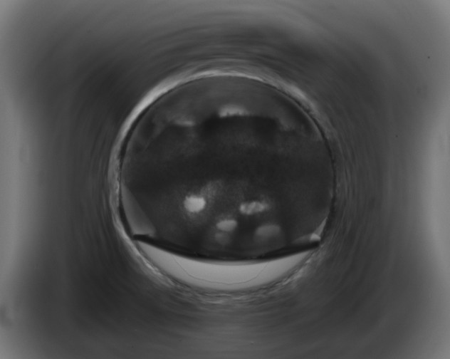 X0000084551522200703021454