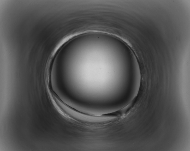 X0000084551523200703021454