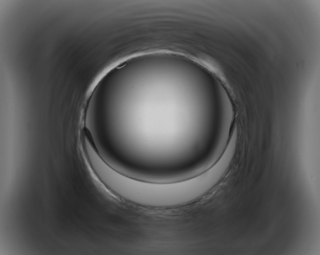 X0000084551524200703021455