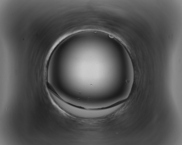 X0000084551527200703021455
