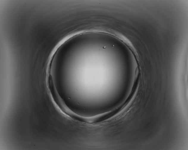 X0000084551528200703021455