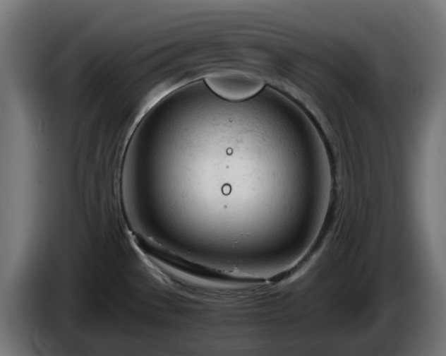 X0000084551529200703021455