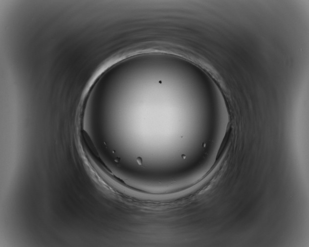 X0000084551530200703021455