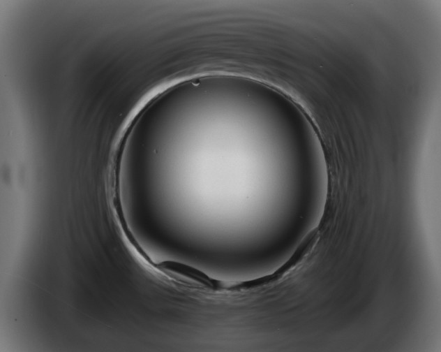 X0000084551531200703021455