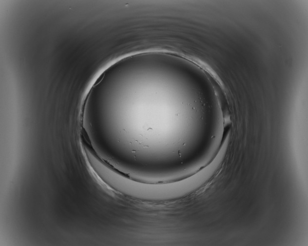 X0000084551532200703021455