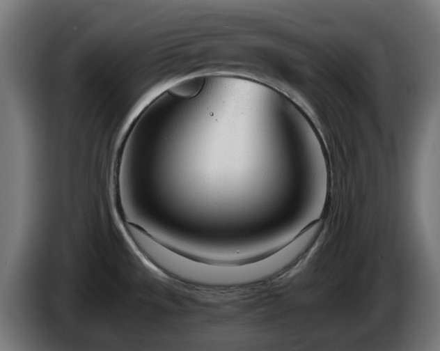 X0000084551533200703021455