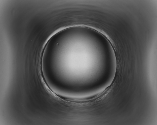 X0000084551534200703021455
