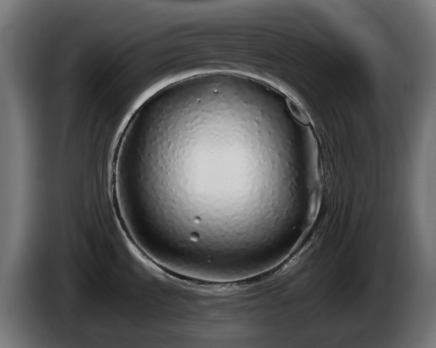 X0000084551535200703021455