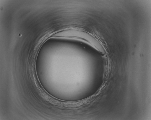 X0000084550001200703091731