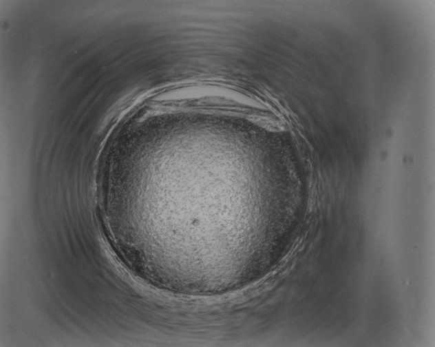 X0000084550002200703091731