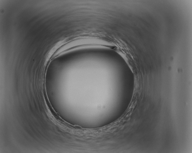 X0000084550003200703091731