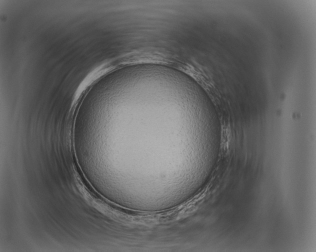 X0000084550004200703091731