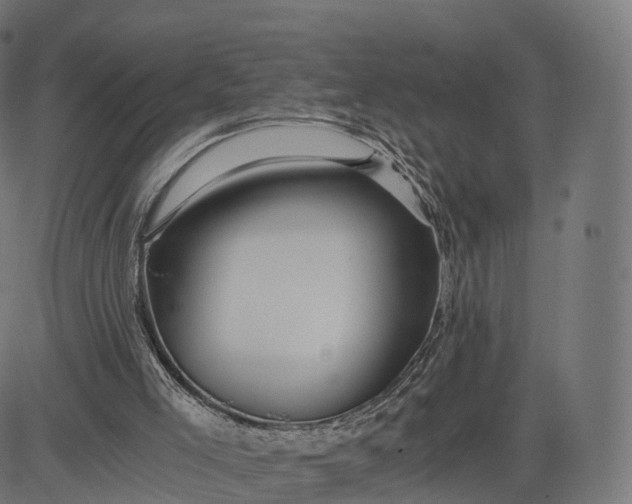 X0000084550005200703091731