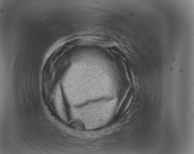 X0000084550006200703091731