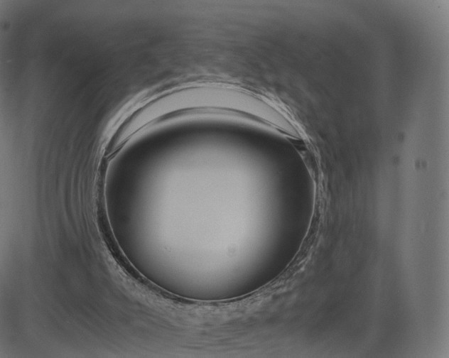 X0000084550007200703091731