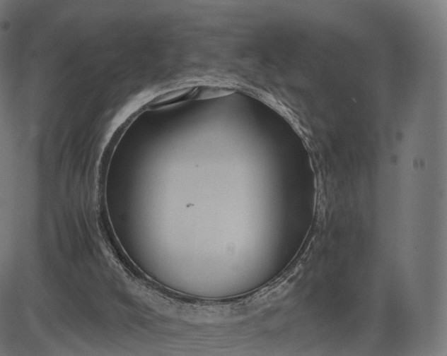 X0000084550008200703091731