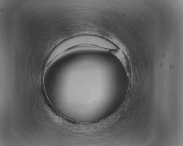 X0000084550009200703091731