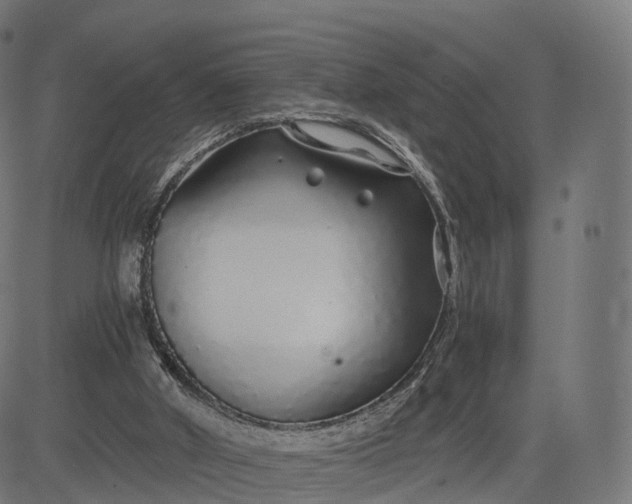 X0000084550010200703091731