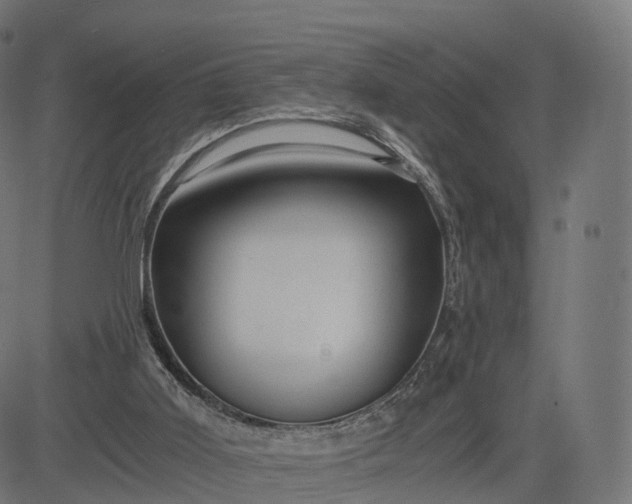 X0000084550011200703091731