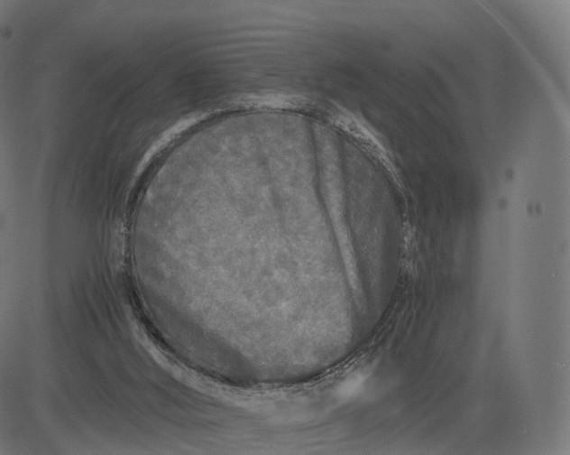 X0000084550012200703091731