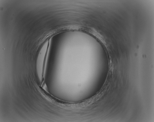 X0000084550013200703091731