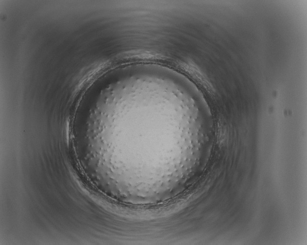 X0000084550014200703091731