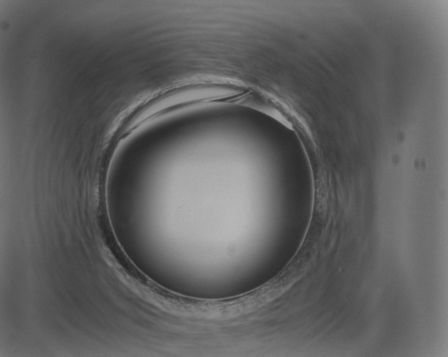 X0000084550015200703091731