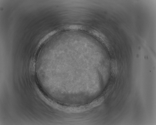 X0000084550016200703091731