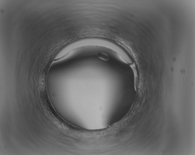 X0000084550017200703091731