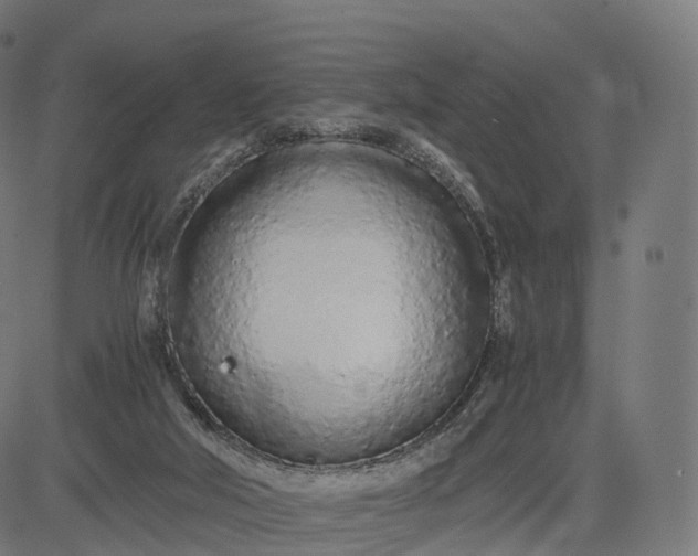 X0000084550018200703091731