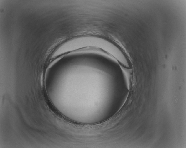 X0000084550019200703091731