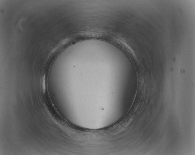 X0000084550020200703091731