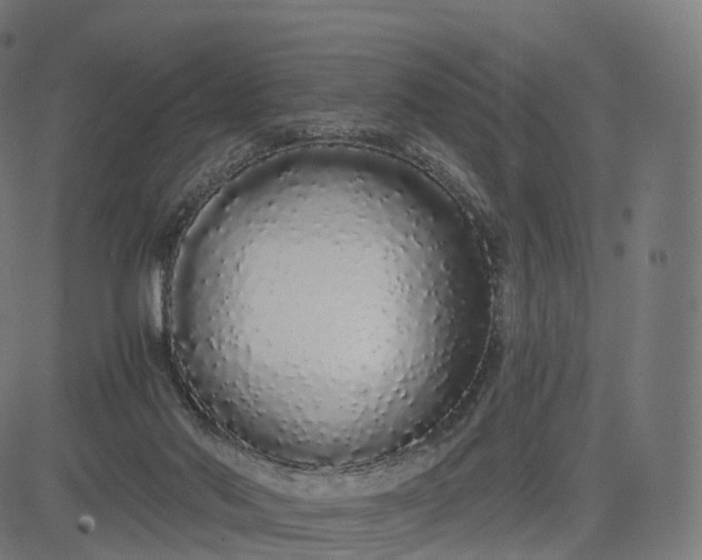 X0000084550022200703091731