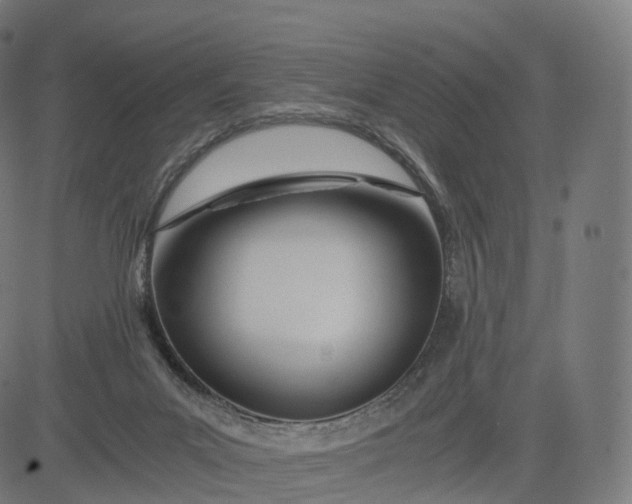 X0000084550023200703091731