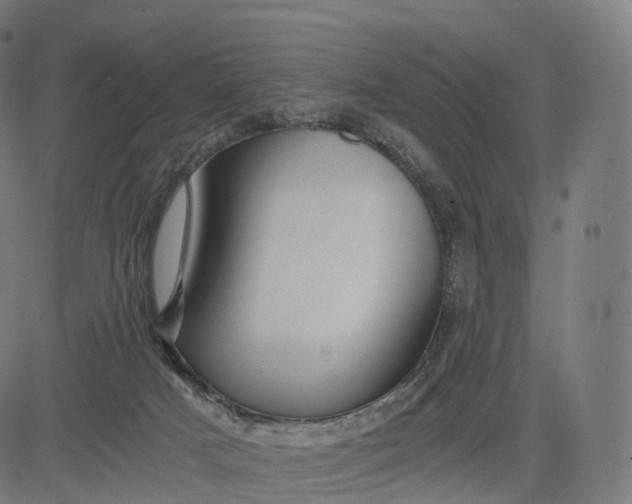 X0000084550025200703091731