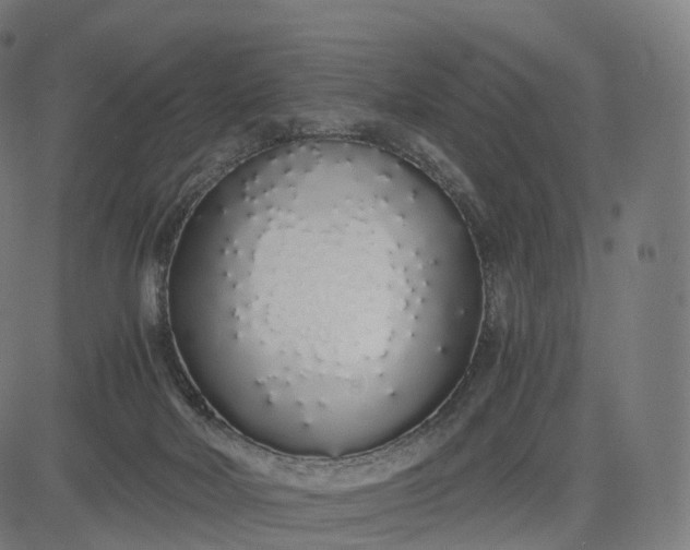 X0000084550026200703091731