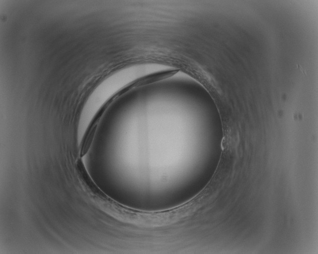 X0000084550027200703091731