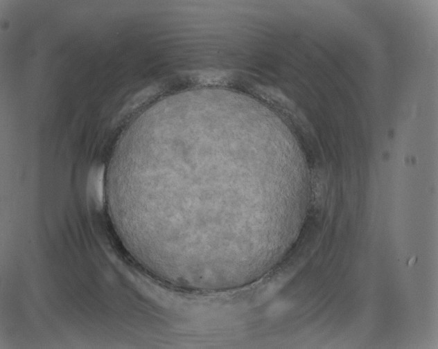 X0000084550028200703091731