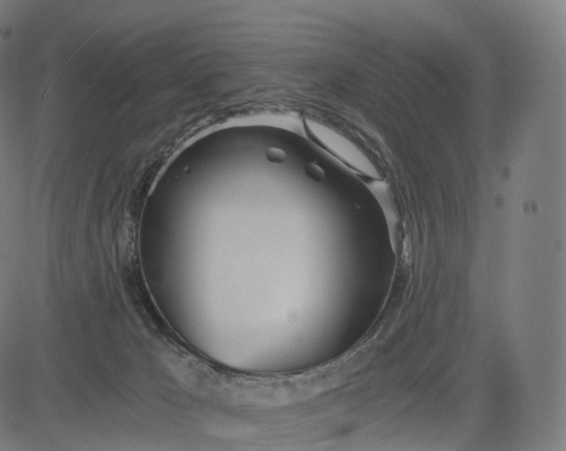 X0000084550029200703091731