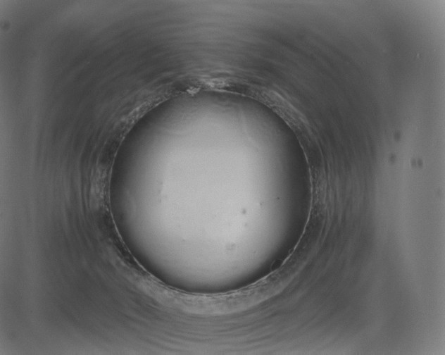 X0000084550030200703091731