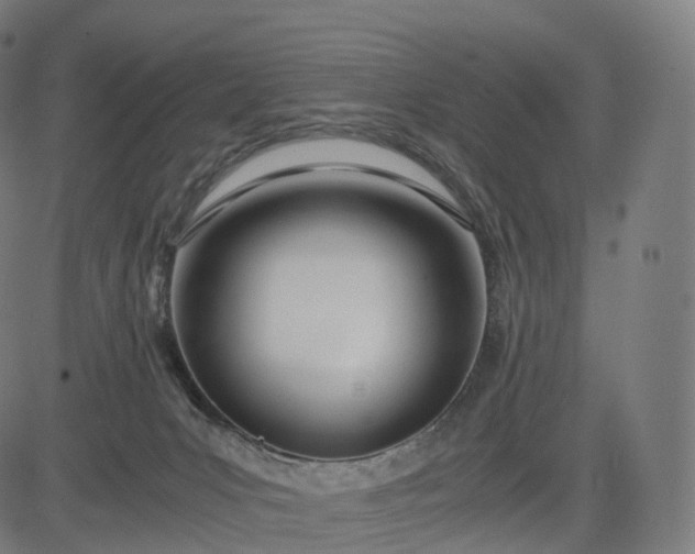 X0000084550031200703091731