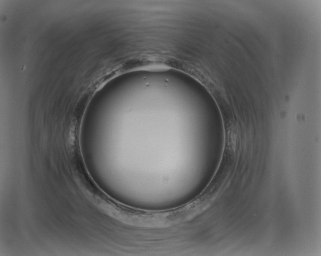 X0000084550032200703091731