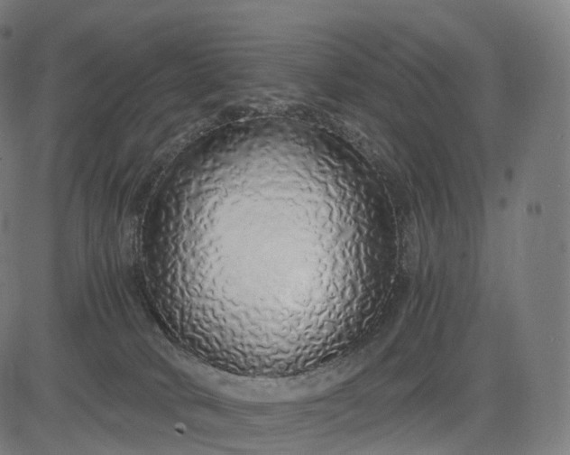 X0000084550034200703091731