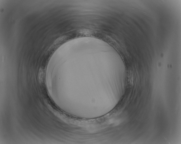 X0000084550036200703091731