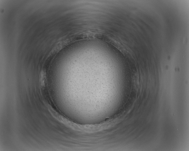 X0000084550038200703091731