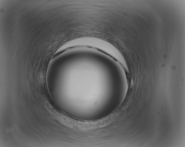 X0000084550039200703091731