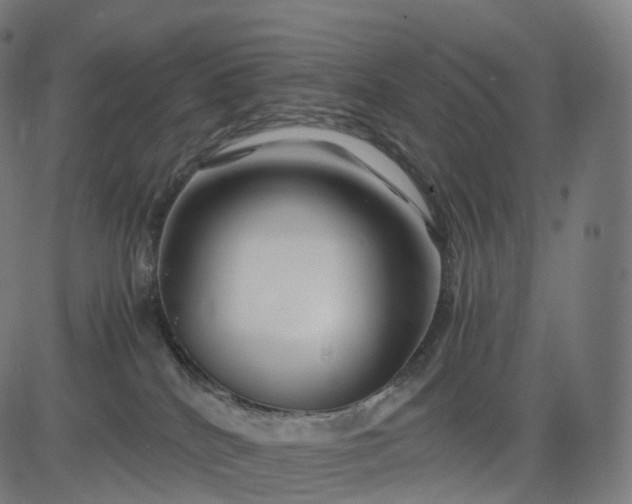 X0000084550040200703091731