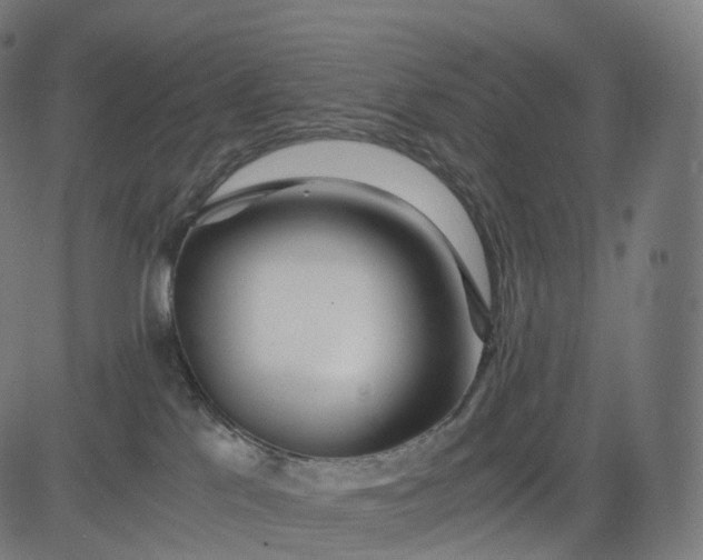 X0000084550041200703091731