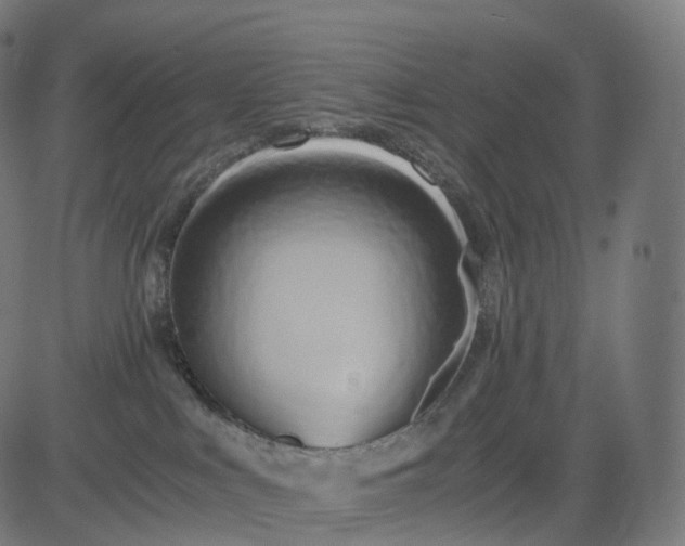 X0000084550043200703091731