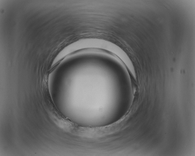 X0000084550045200703091731